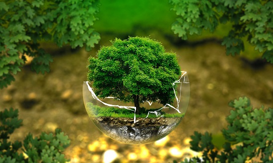 Đánh giá tác động môi trường (ĐTM)
